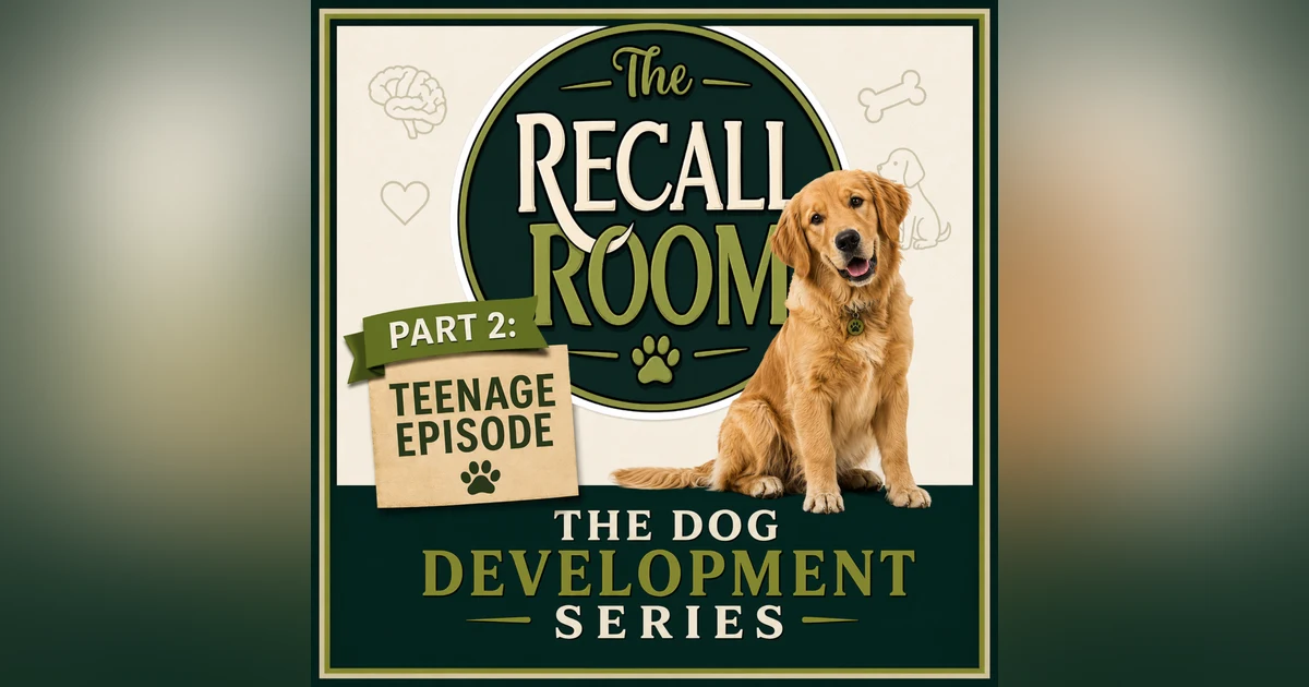 The Teenage Dog: Big Feelings & Bad Decisions