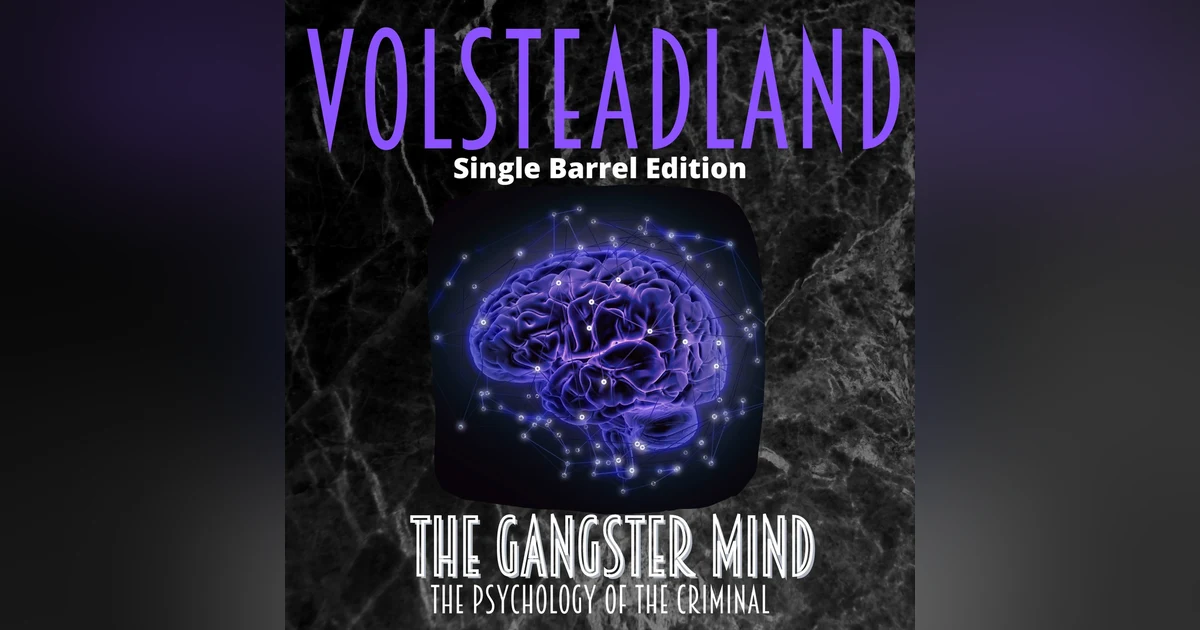 The Gangster Mind