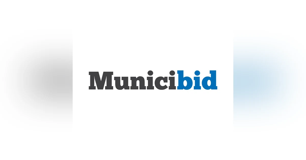 From Emergency Vehicles to Tailgate Heroes: Exploring Government Auction Finds with MuniciBid