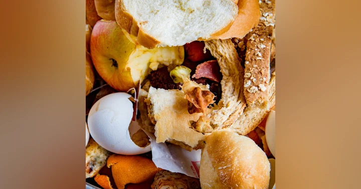 image for Tackling Food Waste and Poverty: What Plan Zheroes is Doing Today