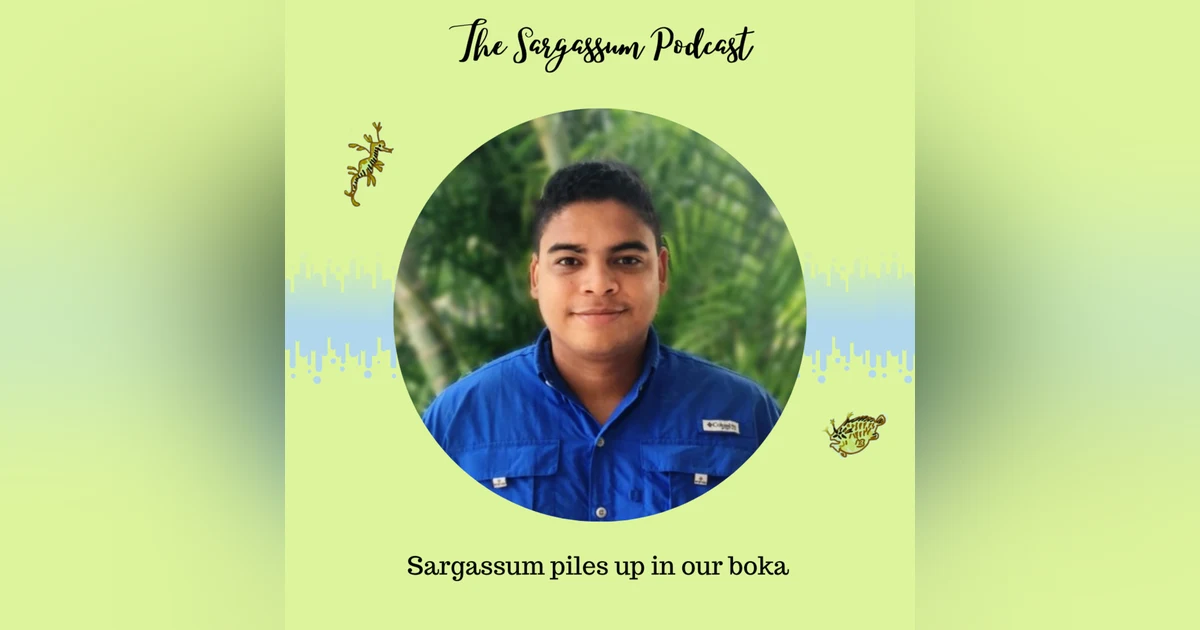 Episode 8: Impact of Sargassum on Curaçao’s Bokas with Javier Diaz