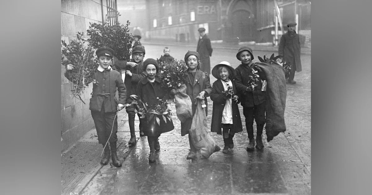 THE AMATEUR MENDICANT SOCIETY   A BAKER STREET IRREGULARS ADVENTURE