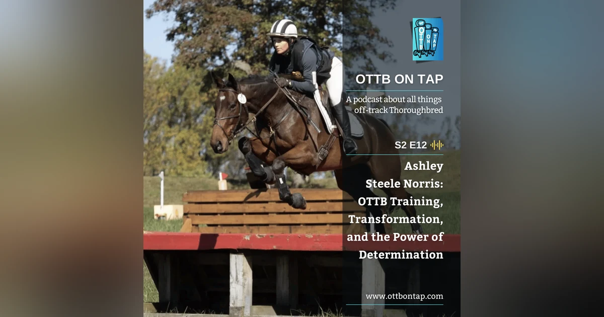 S2 E12: Ashley Steele Norris: OTTB Training, Transformation, and the Power of Determination