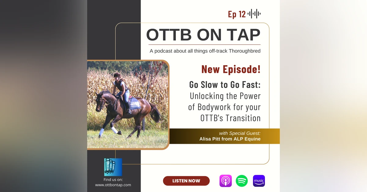 Ep.12 -- Go Slow To Go Fast: Unlocking The Power of Bodywork for your OTTBs Transition w/Alisa Pitt