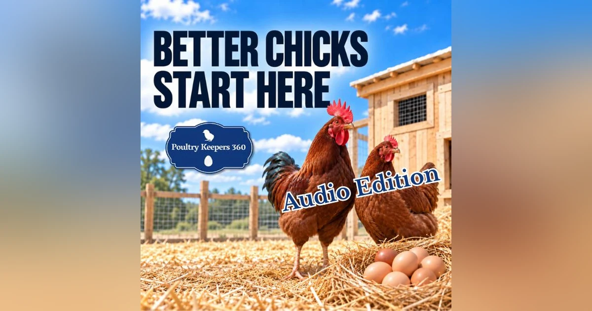 How to Prepare Your Chickens for Breeding Season