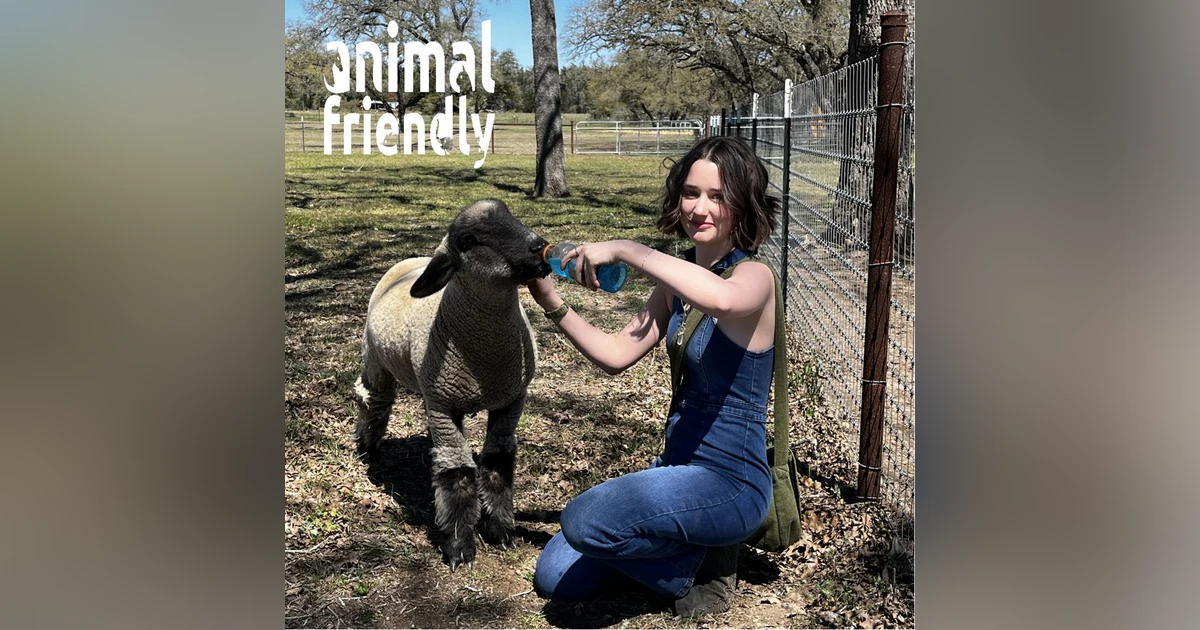 30. Choosing Kindness