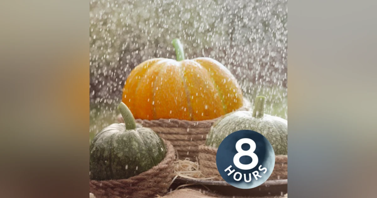 Fall Rain Sounds to Sleep 8 Hours I Relaxing Storm Ambience at Pumpkin Patch