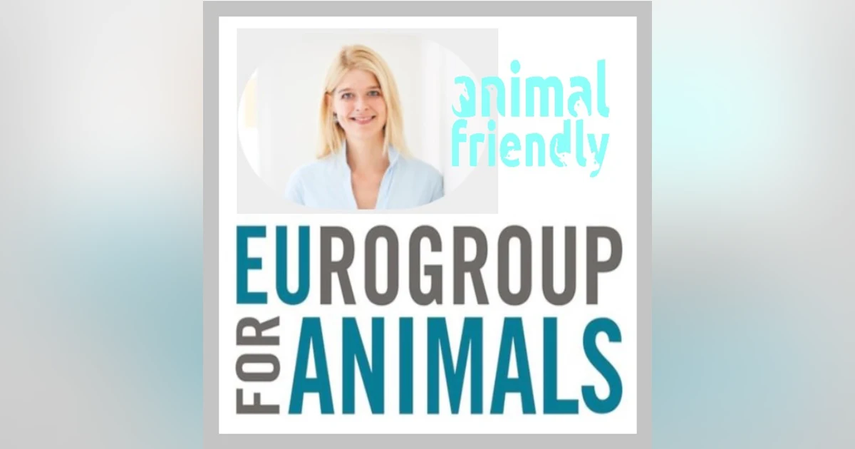 18. Vote For Animals!