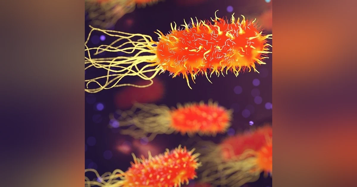Sepsis Beware