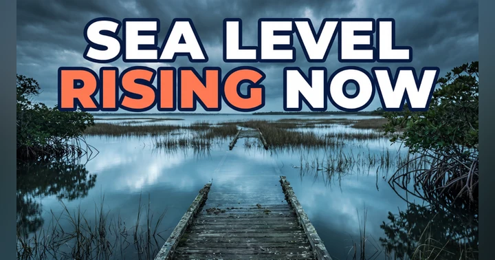 image for Sea Level Rise Has a Speed Limit: Why Marshes and Mangroves Are Racing the Tide