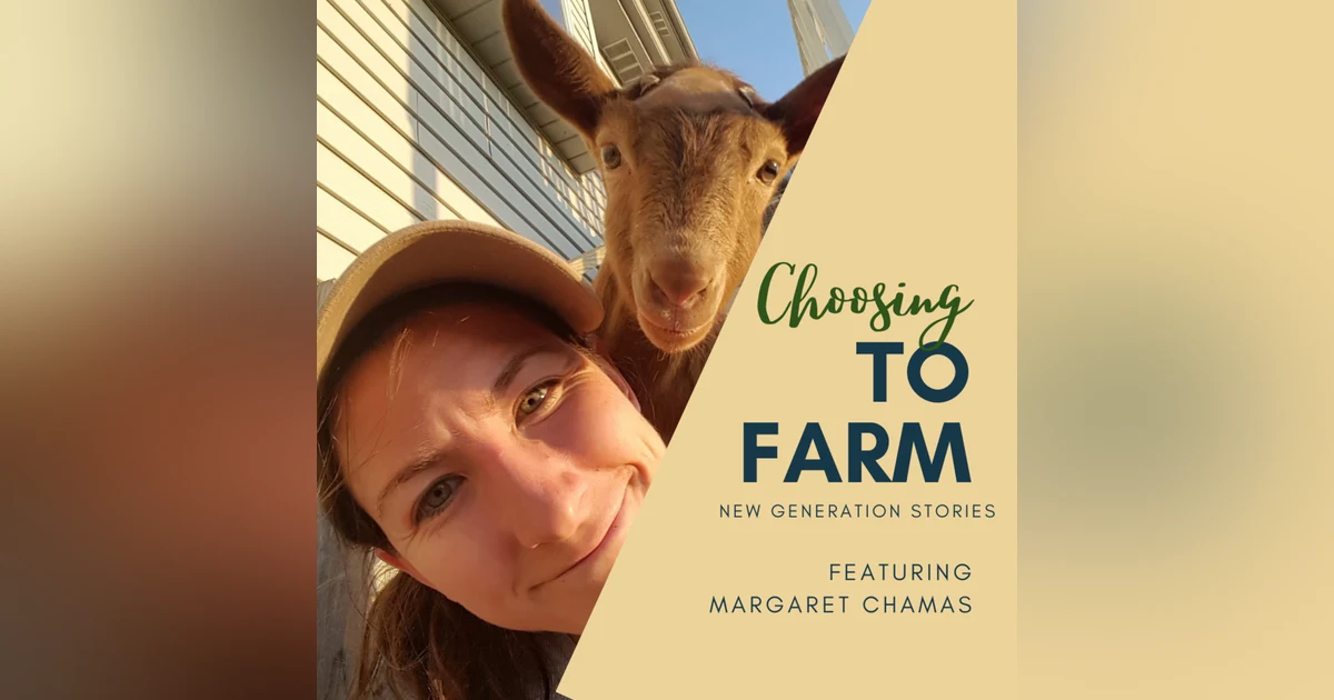 Ep 1.15 Margaret Chamas Part 1