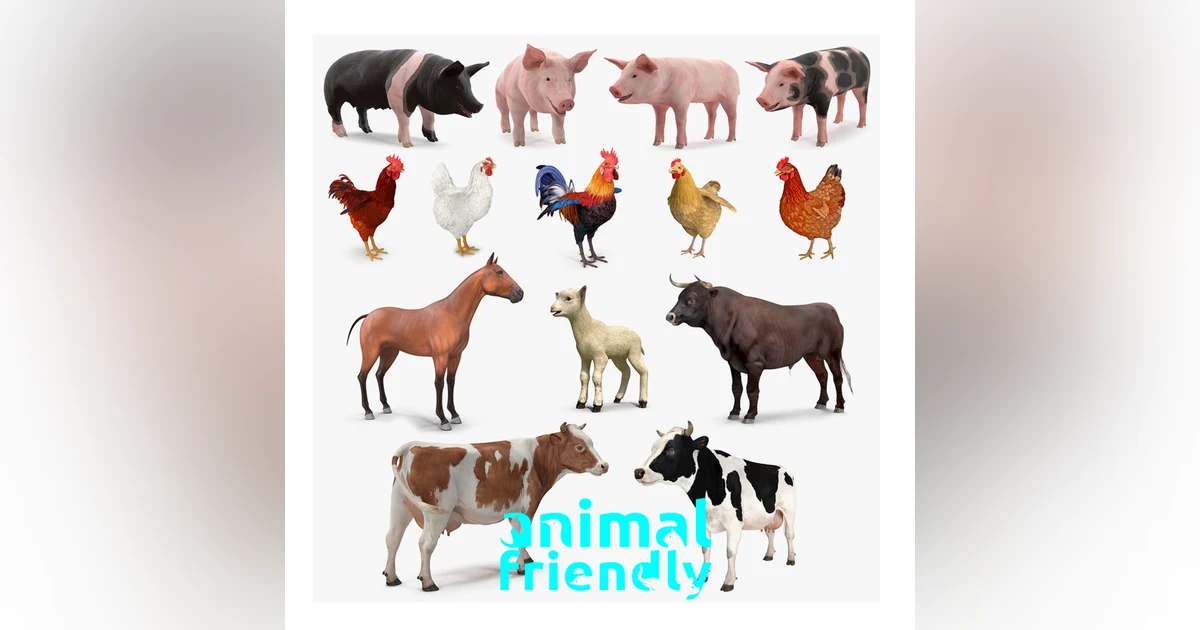 3. Ethical Farming in Ireland?