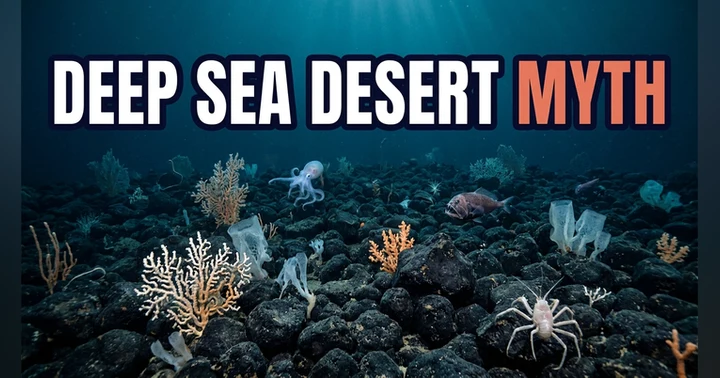 image for He Called It a Desert. Scientists Found 5,000 Species.