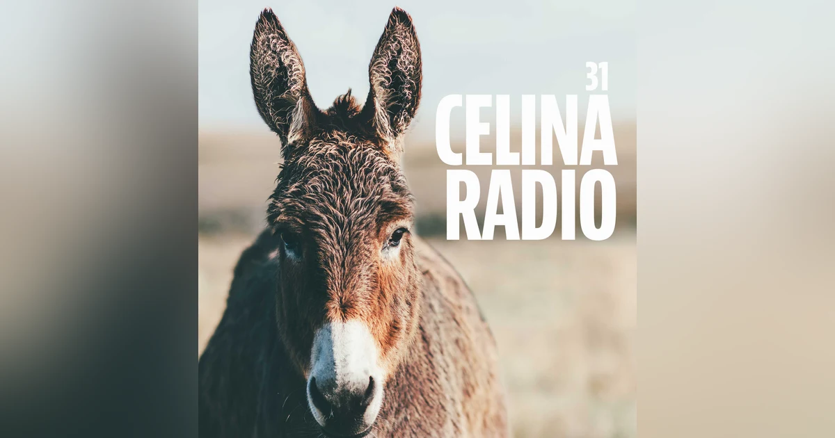 Karla Vargas And Her Donkey Party