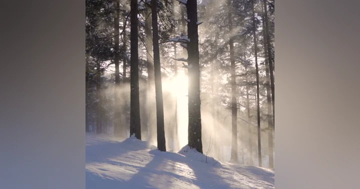 image for Embracing the Winter Solstice: Holistic Strategies for Wellness and Releasing The ADHD Label During Wintertime
