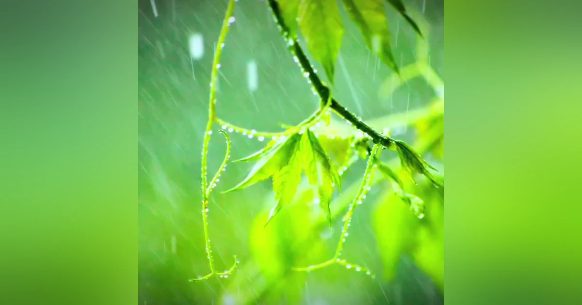 Rain Sounds for Sleep, Relaxation or Focus 12 Hours