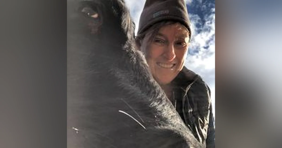 Horse Sense / Kim Kupferer - Stanford