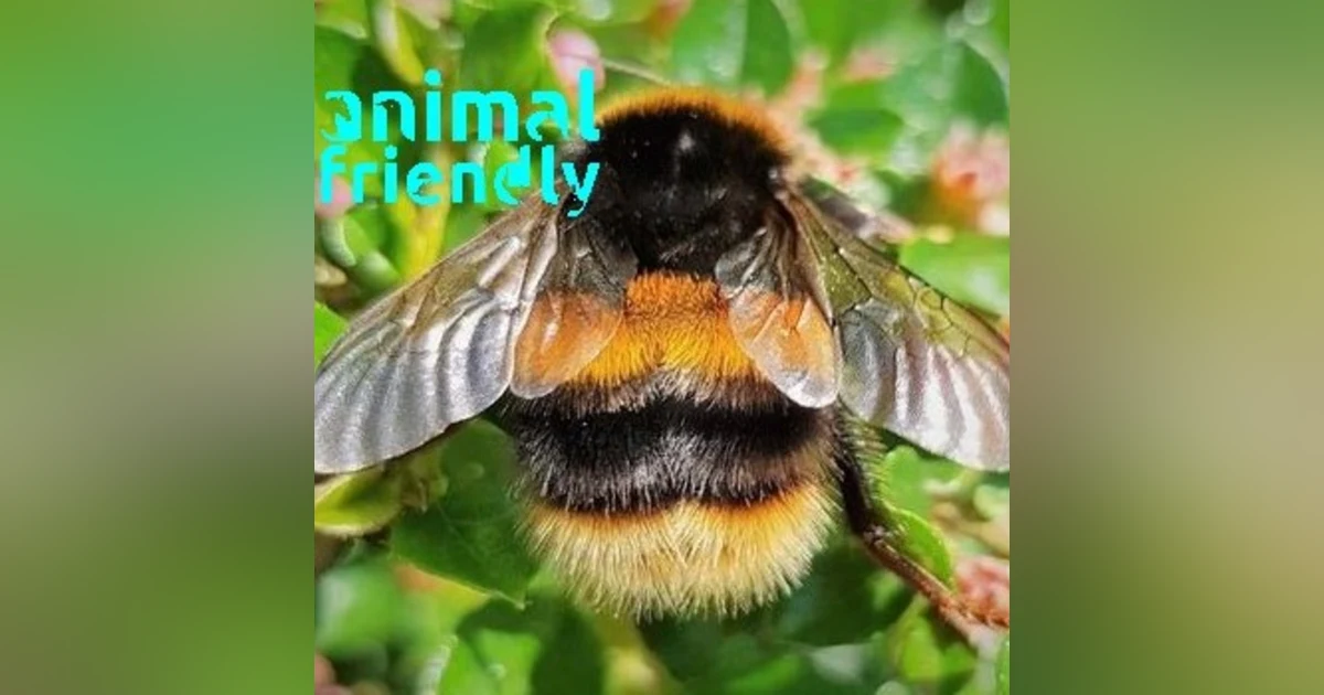 12. Bee Cool