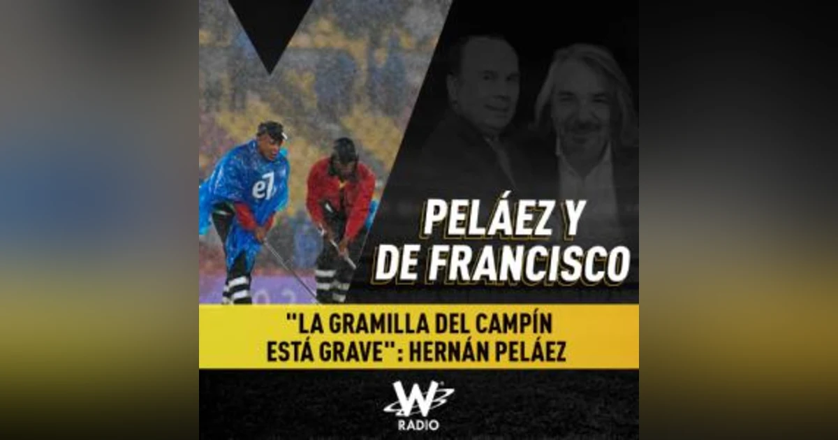 "La gramilla del Campín está grave": Hernán Peláez