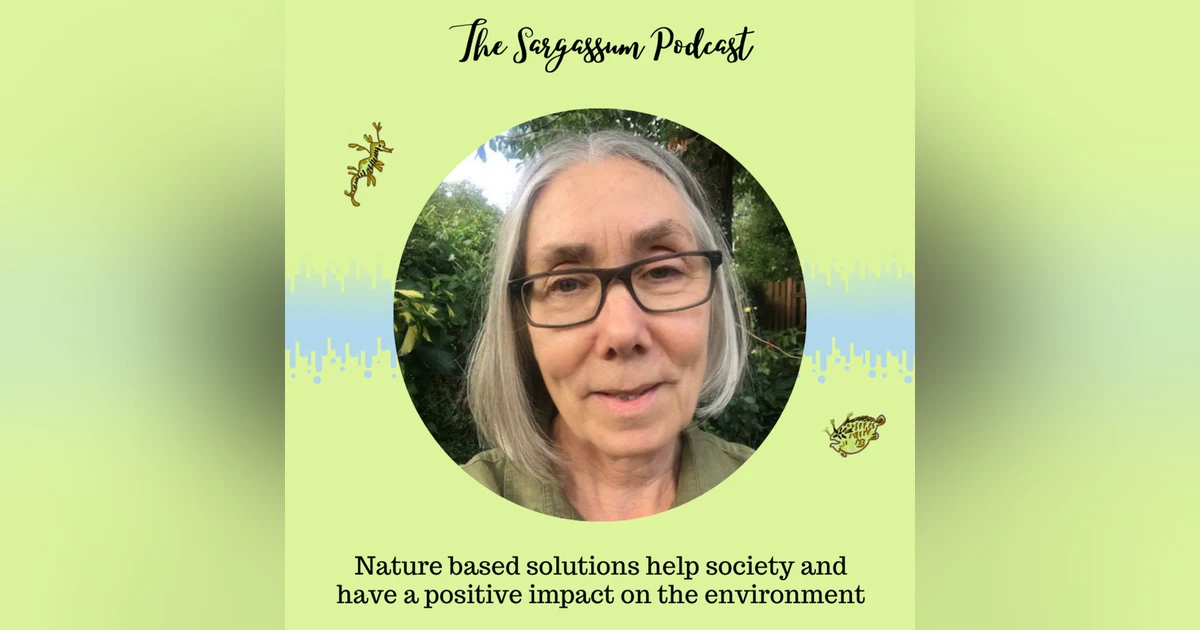 Episode 9: Nature based solutions and social impacts of Sargassum with Dr. Debbie Bartlett