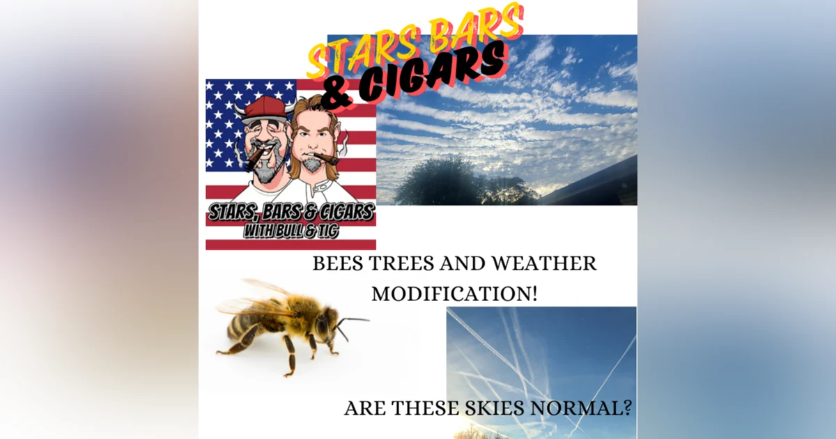 STARS BARS & CIGARS, #49