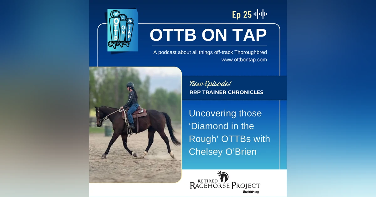 Ep 25: Uncovering those 'Diamond in the Rough' OTTBs with Chelsey O'Brien