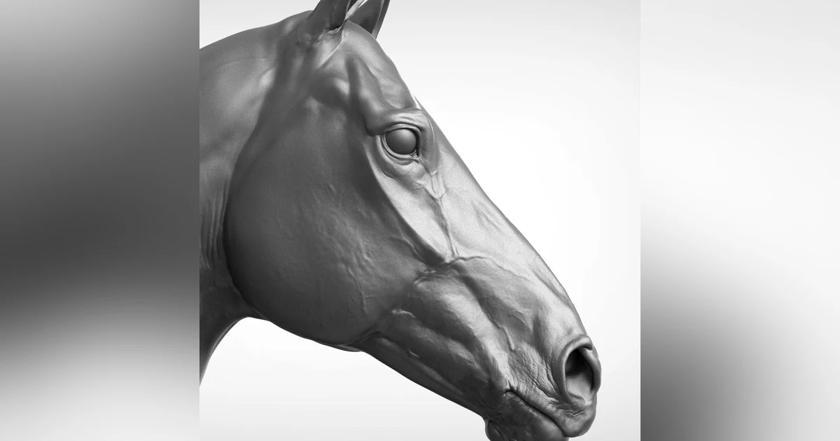Historias de Miedo Mayo 1 2020 CABEZA DE CABALLO