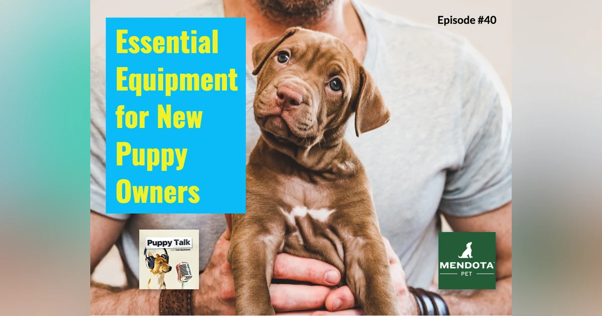 Essential Equipment for New Puppy Owners