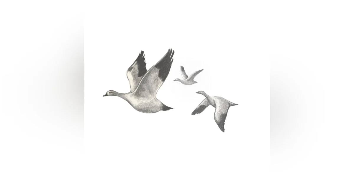 Migration