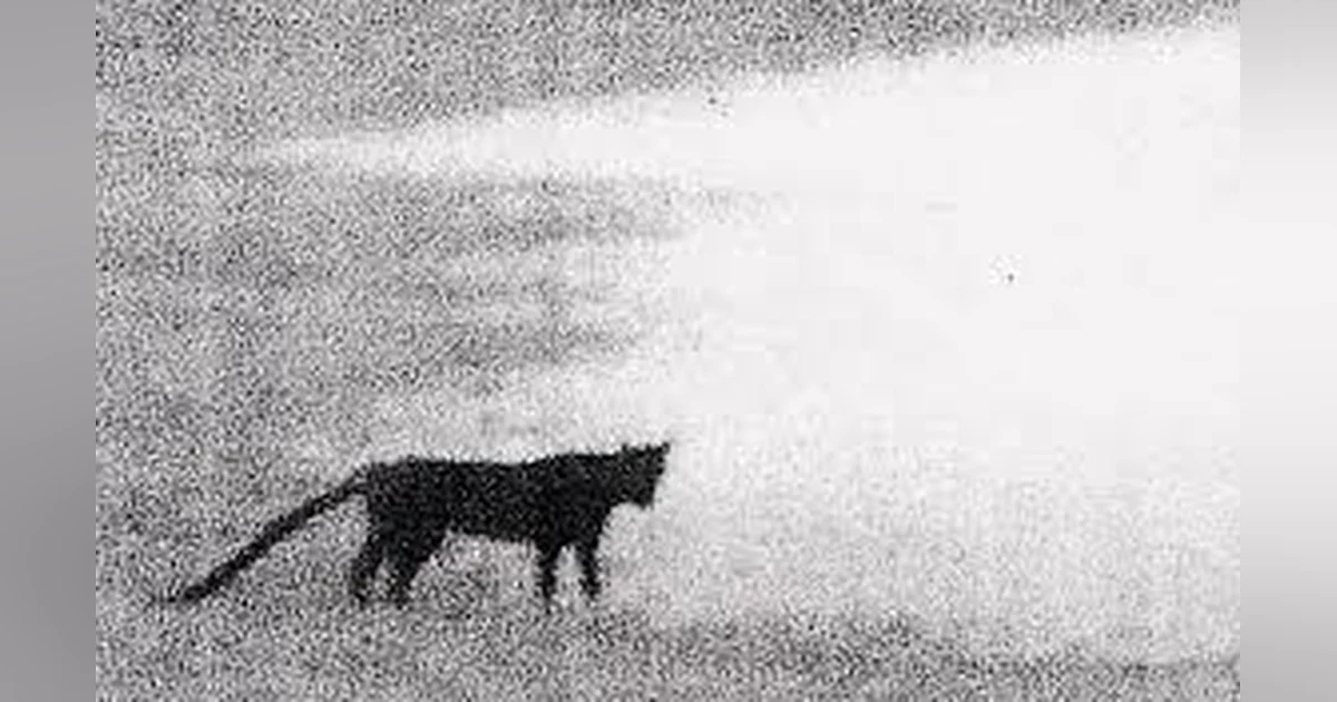 THE BEAST OF BODMIN MOOR & OTHER URBAN LEGENDS (URBAN LEGENDS #11)