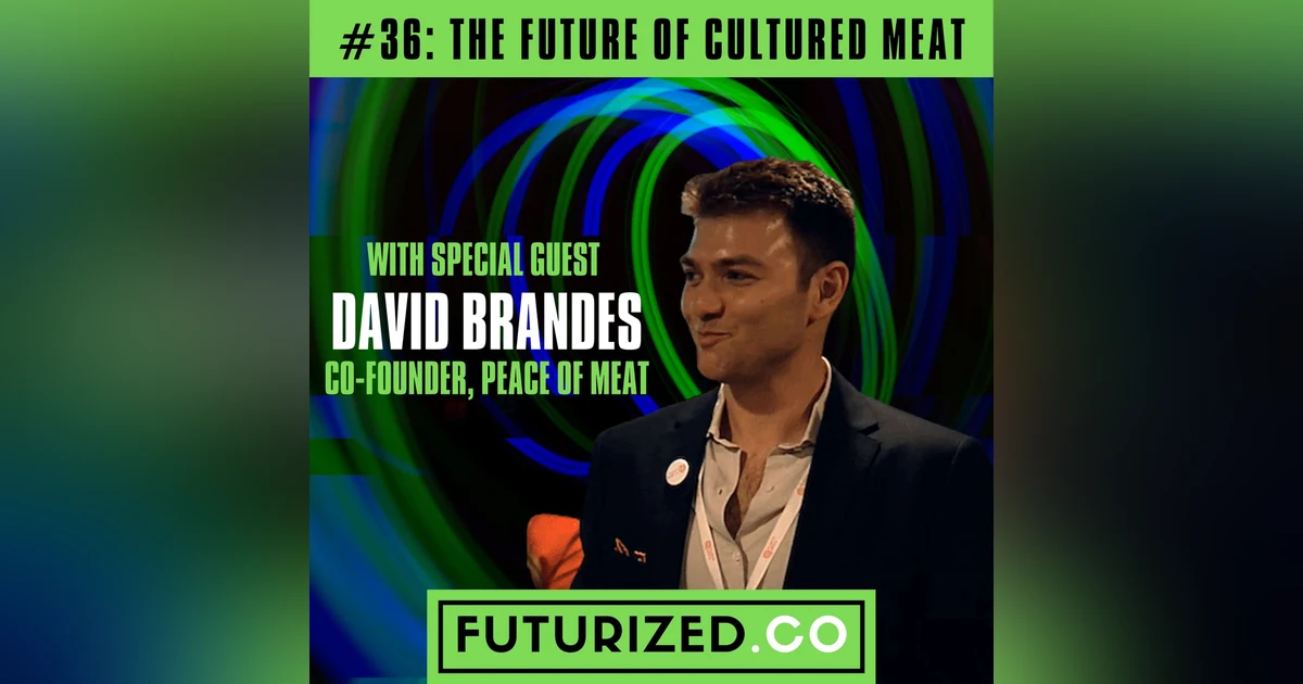 The Future of Cultured Meat