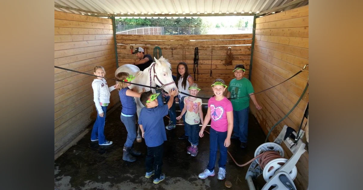 A True Story of How Patriots Saved Sugar Ditch Stables! Must-Hear