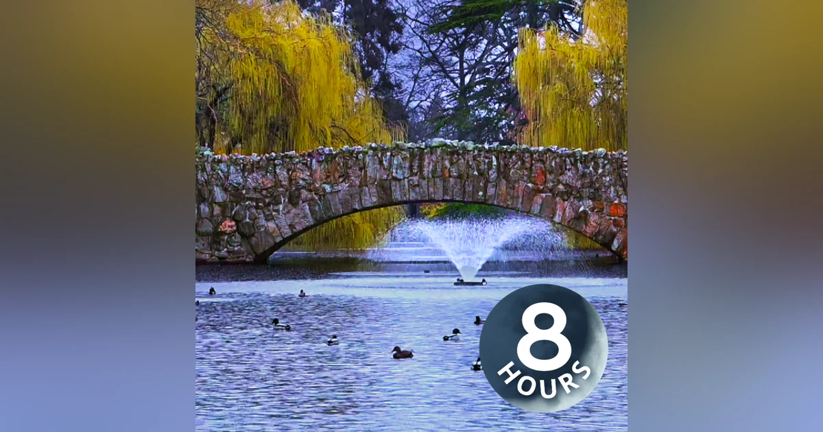 Rain on Pond Ambience | Sleep, Study or Relax to Rainstorm & Water Sounds 8 Hours