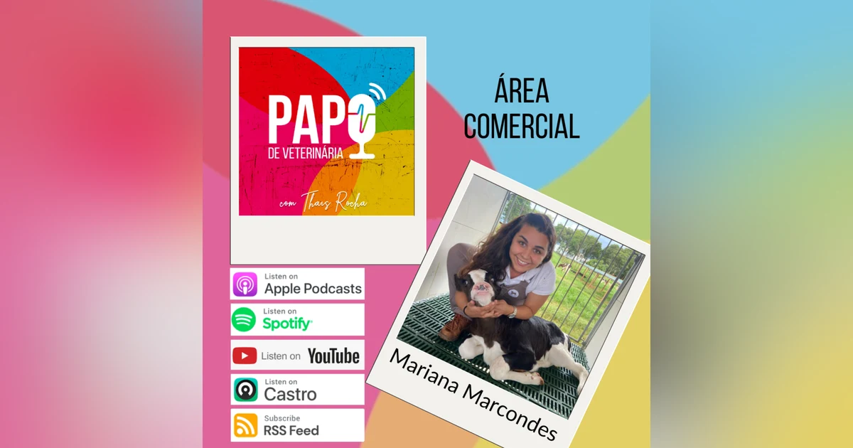 Indústria e mídias sociais, com Mariana Marcondes do Bezerrinsta