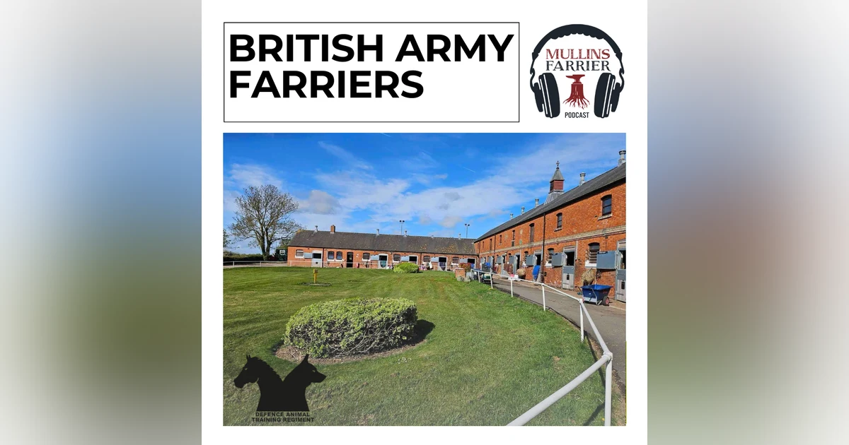 The British Army Farriers