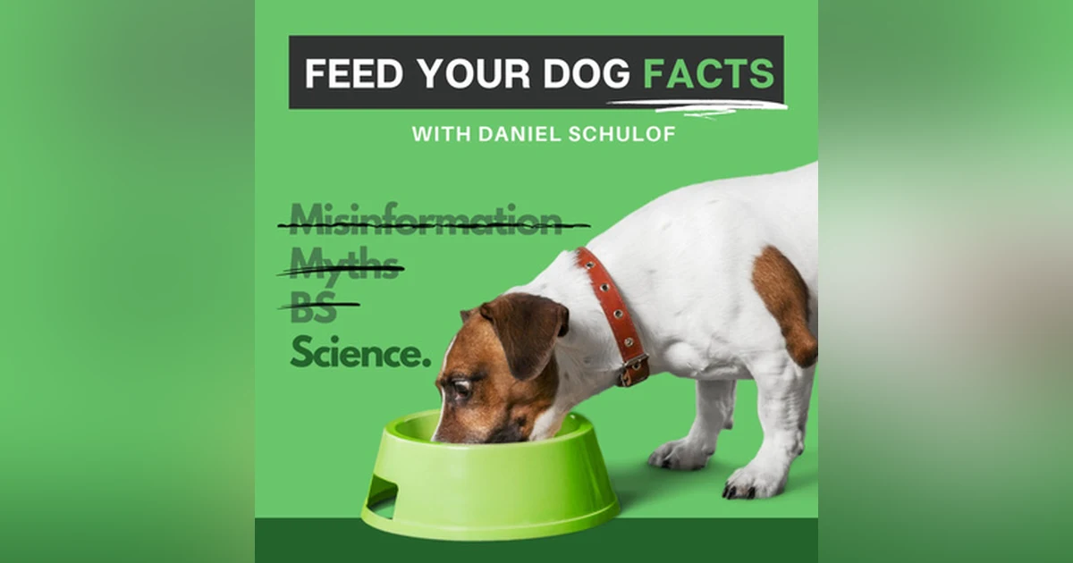 Label Review #2: Sundays for Dogs Dog Food