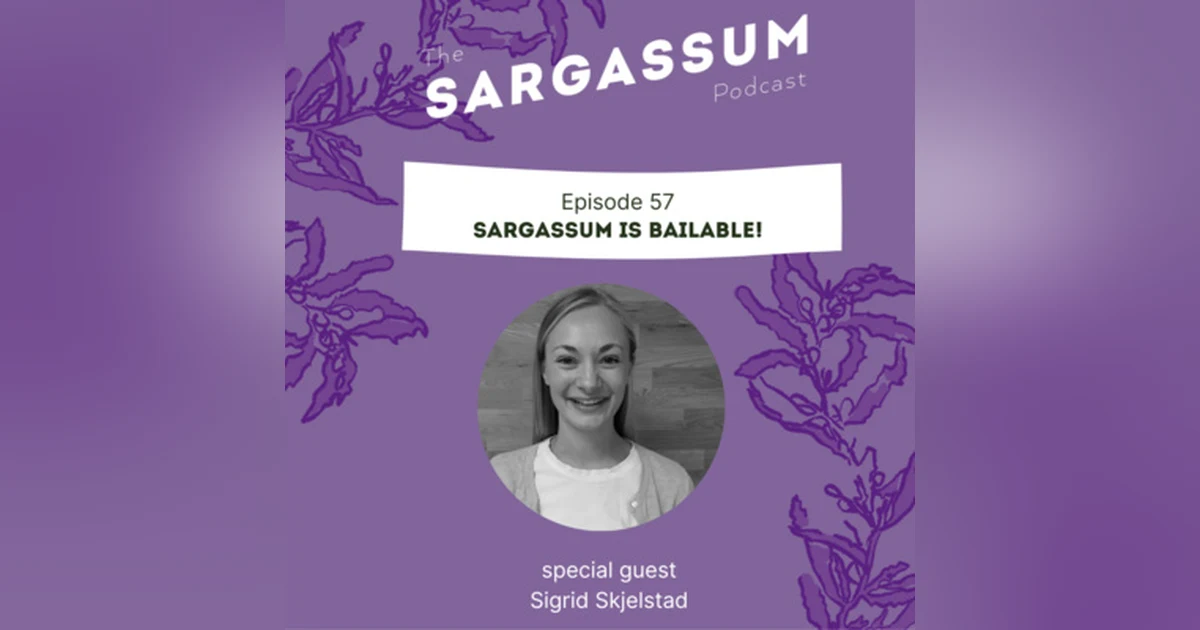 E57 Sargassum is Bailable!