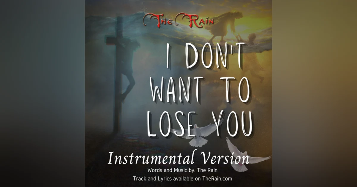 I Don't Want To Lose You - Instrumental Version