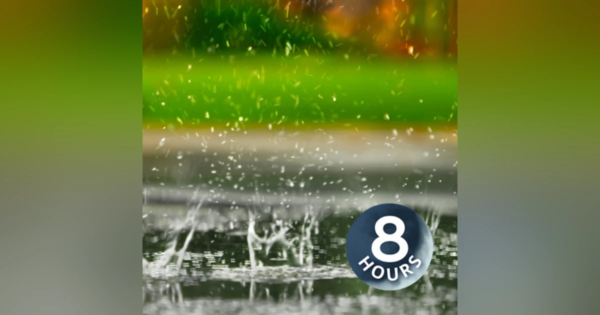 It's raining! Satisfying rain sounds for sleeping or to destress 8 Hours