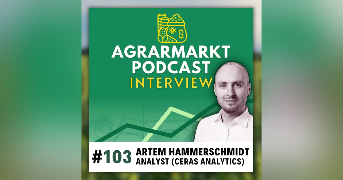 Hoffnung trotz Abverkauf - Deepdive mit Artem von Ceras Analytics