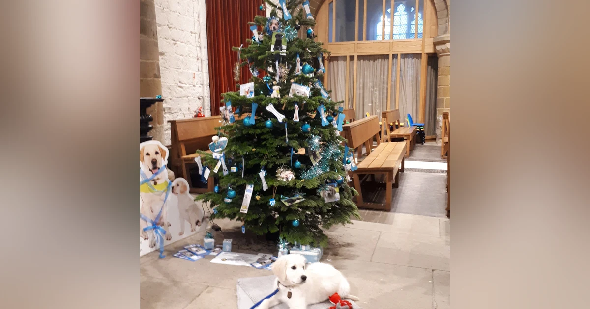 #027 Guide Dog Puppy Walkers - socialisation training
