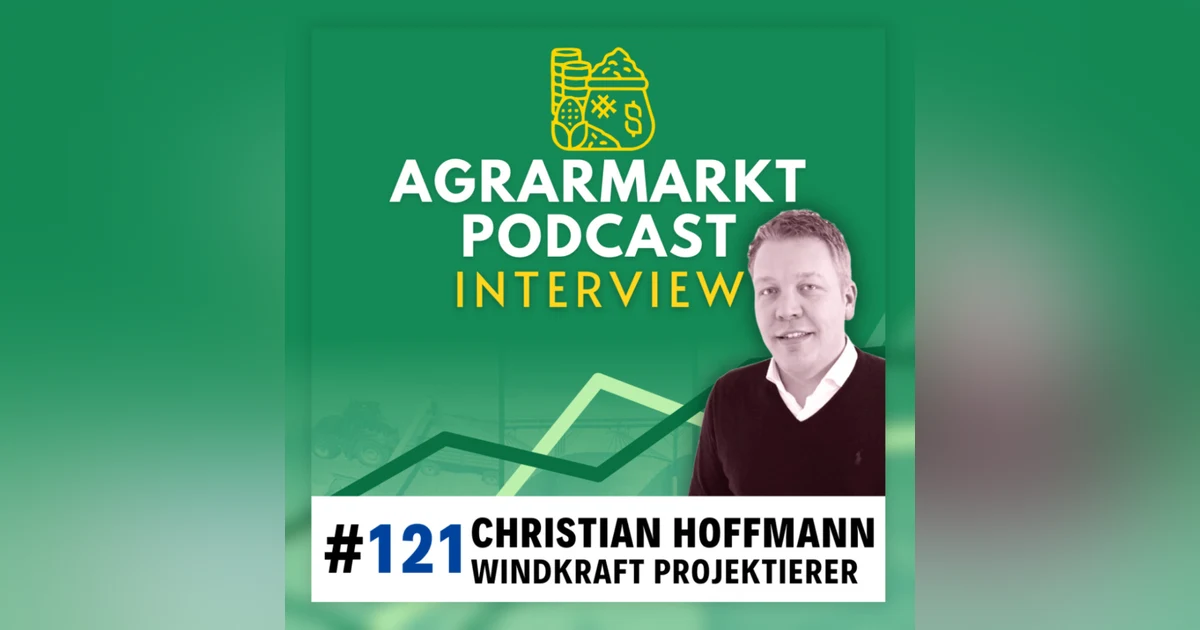 Die Deflationstodespirale & Deepdive Windkraft mit Projektierer Christian Hoffmann