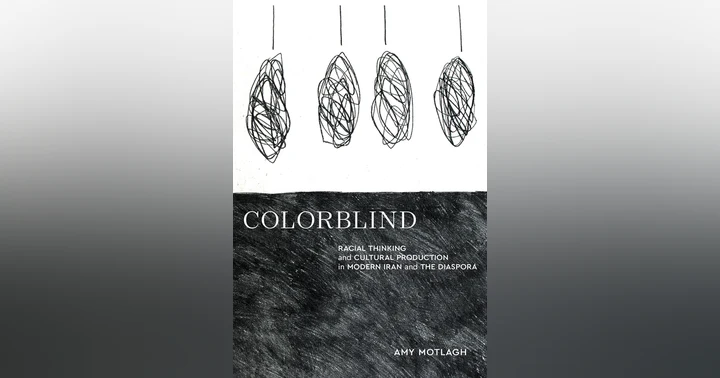 image for Episode 835: Race in Modern Iran and the Diaspora with Amy Motlagh