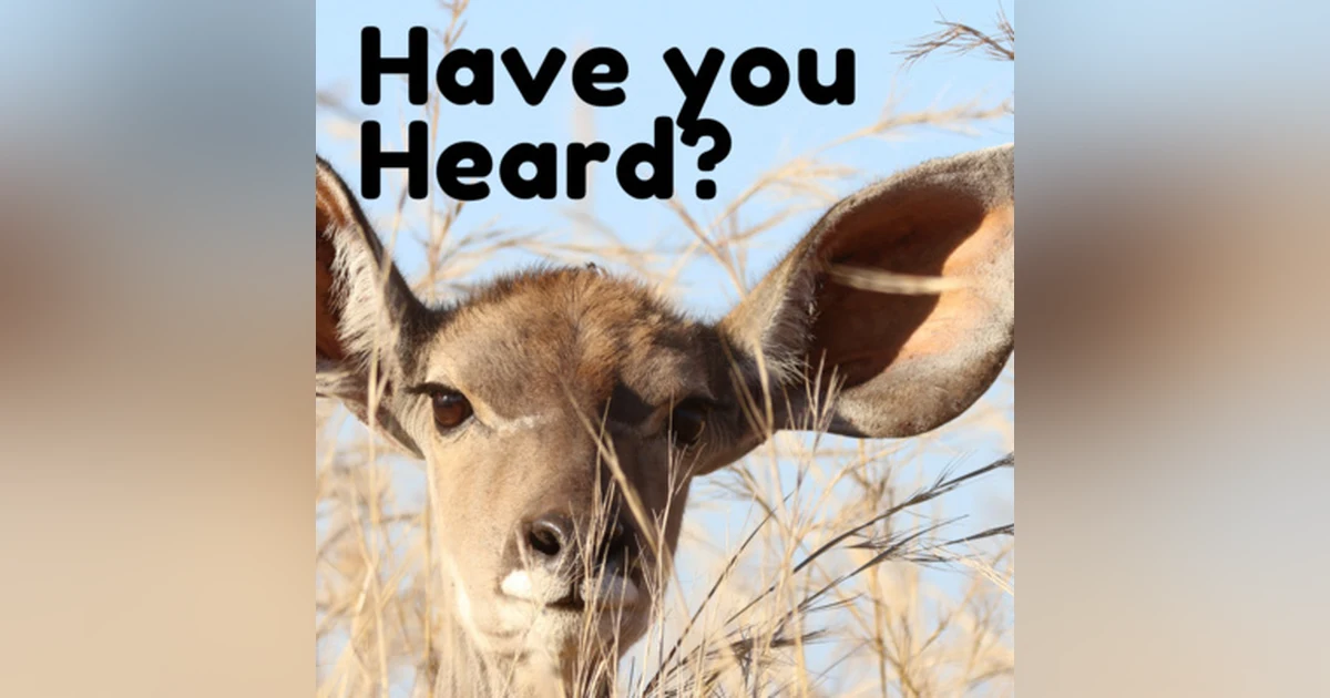 Have You Heard? with Jesse and Jordan