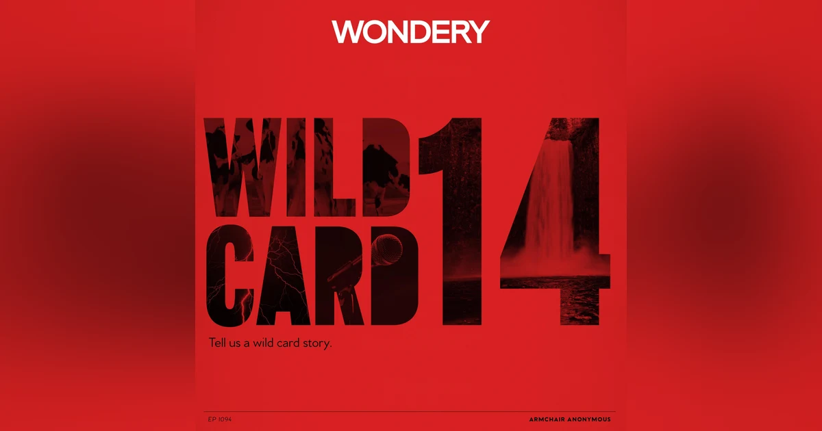 Armchair Anonymous: Wild Card XIV