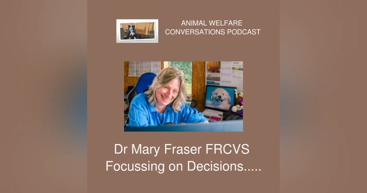 Animal Welfare and Decision Making