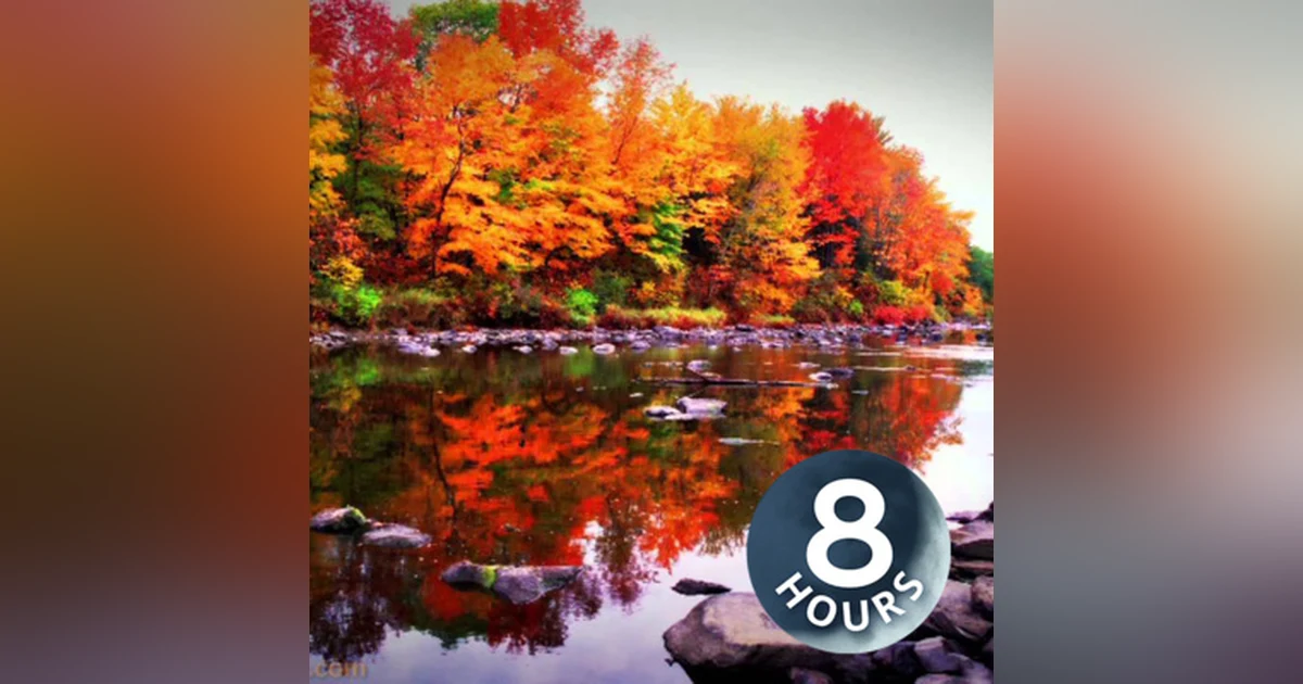 Relaxing River 8 Hours | Meditate, Destress or Relax to Water Sounds