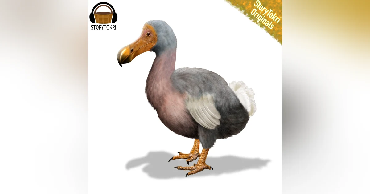 Dodo