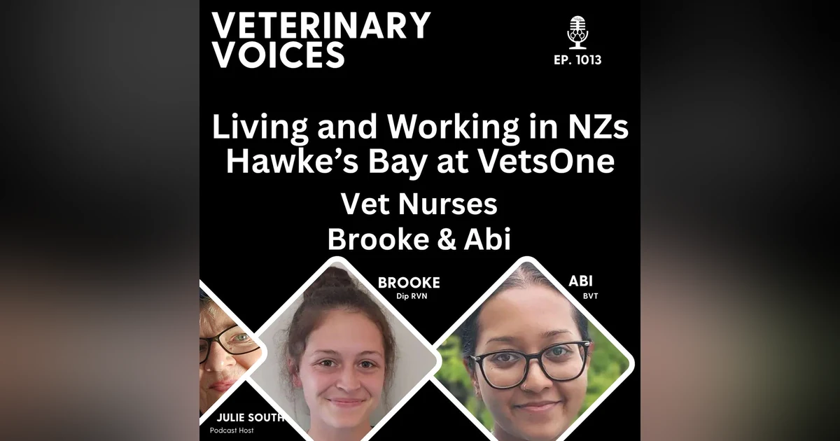 Vet Clinic Employer of Choice: VetsOne - Hawke's Bay NZ - Vet Nurses Brooke and Abi - ep.1013