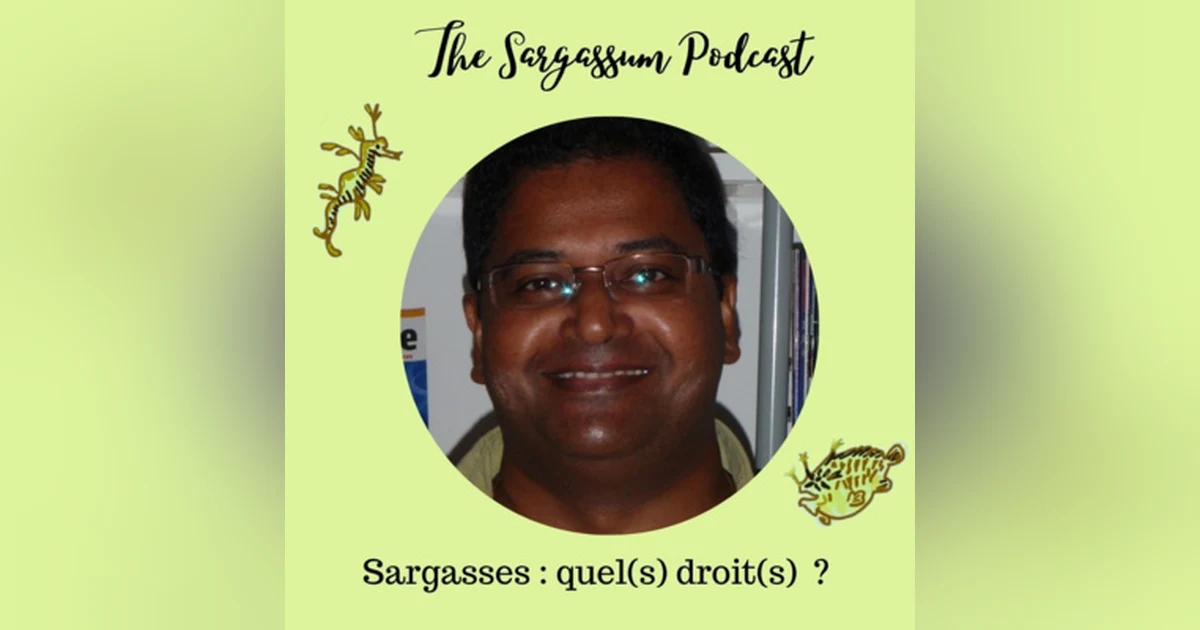 E38 : Sargasses : quel(s) droit(s) ? avec Victor David PhD.